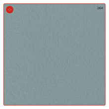 Carica l'immagine nel visualizzatore di Gallery, ECOPELLE in tinta unita