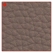 Carica l'immagine nel visualizzatore di Gallery, ECOPELLE in tinta unita