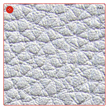 Carica l'immagine nel visualizzatore di Gallery, ECOPELLE in tinta unita