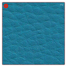 Carica l'immagine nel visualizzatore di Gallery, ECOPELLE in tinta unita